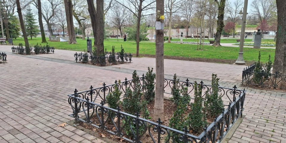 Potresan natpis u parku ispred Gradske kuće: Ne dirajte cvet...