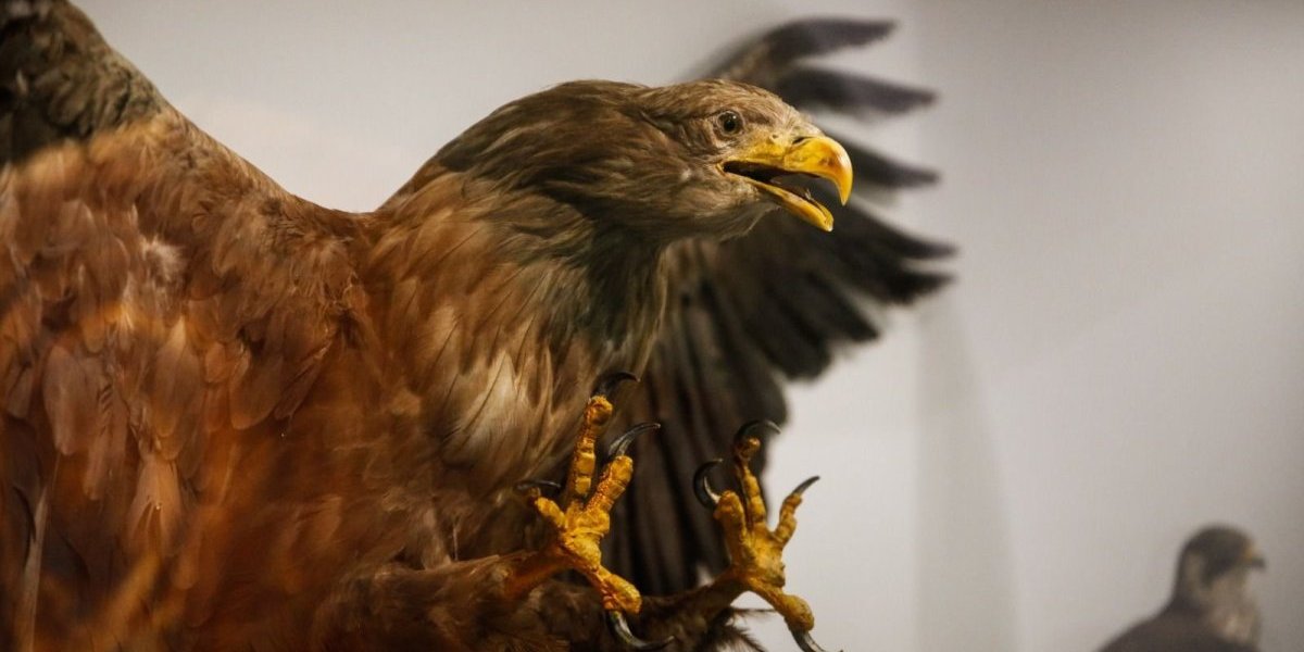 Proslava jubileja Pokrajinskog zavoda za zaštitu prirode