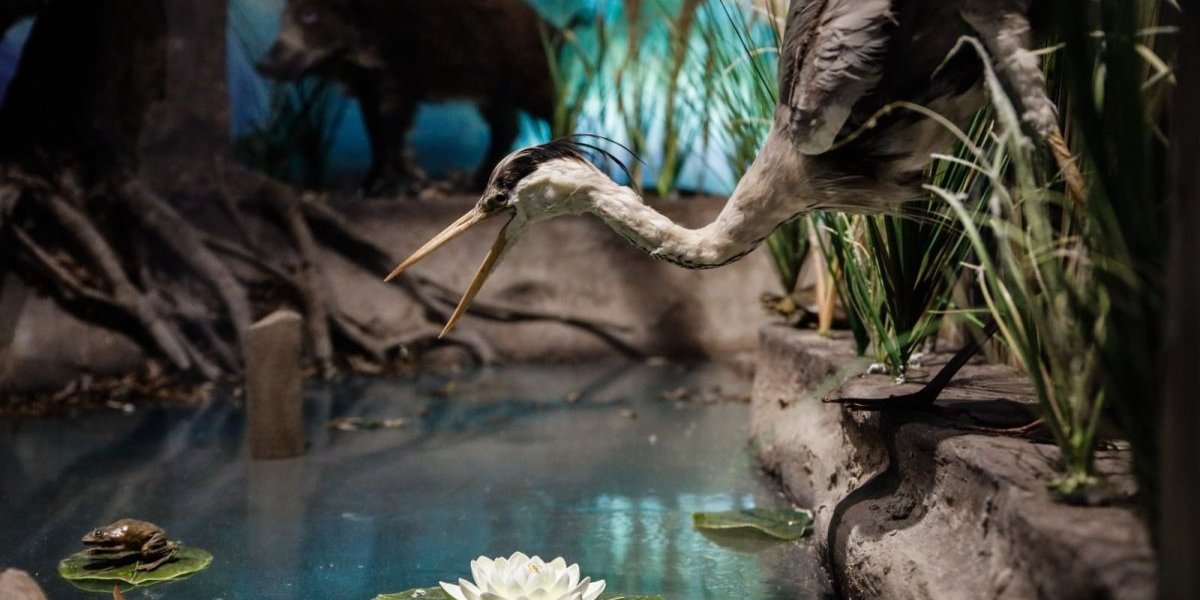 60 godina Pokrajinskog zavoda za zaštitu prirode