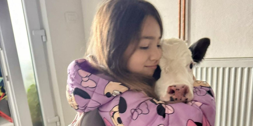 Šta rade ovo: U kući deca, a sa decom i tele, ali pravo