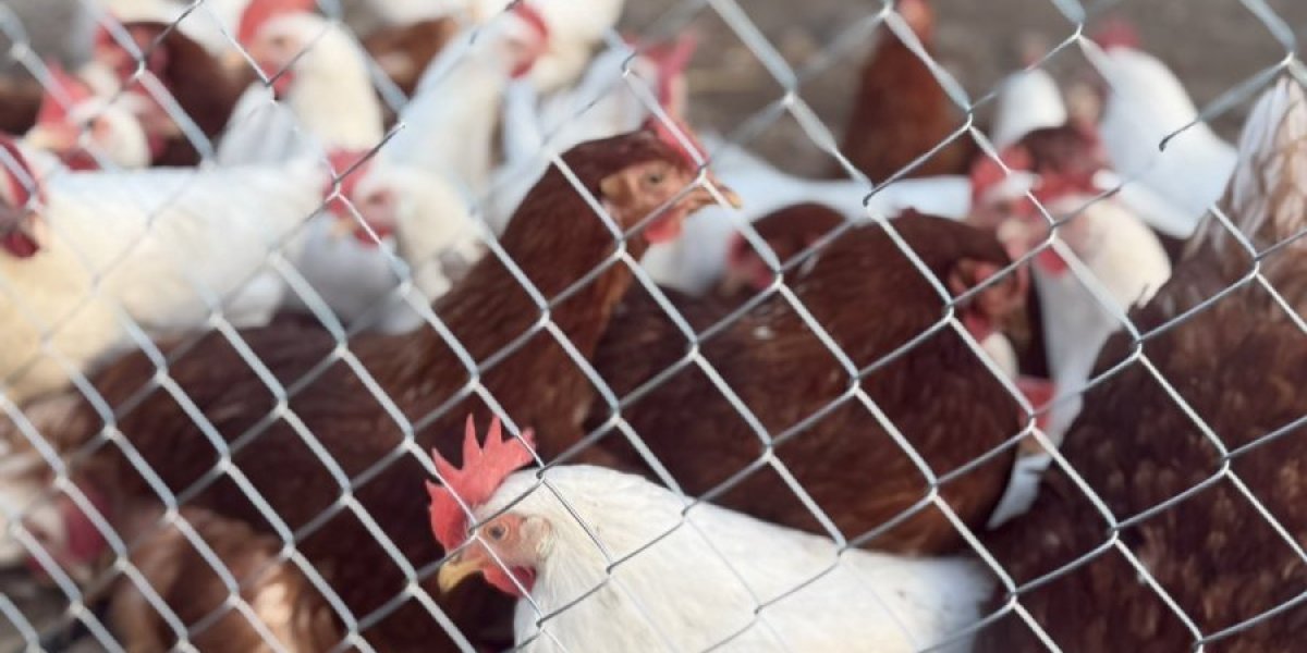 Koke jedu samo prirodno