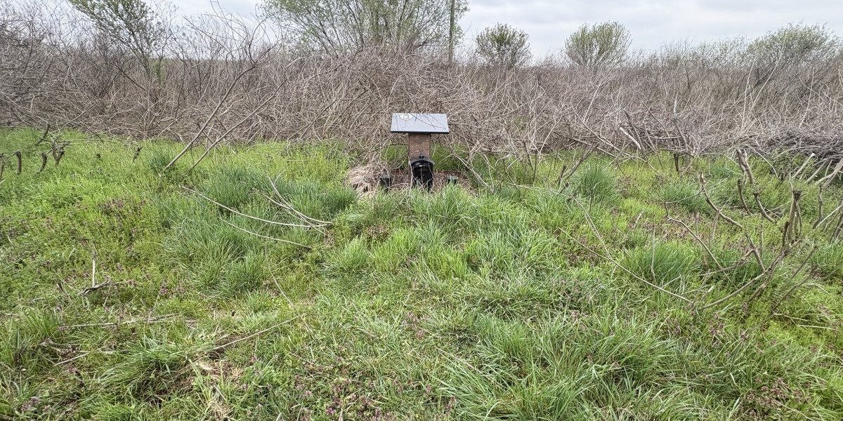 Spomen ploča Jeleni Marjanović