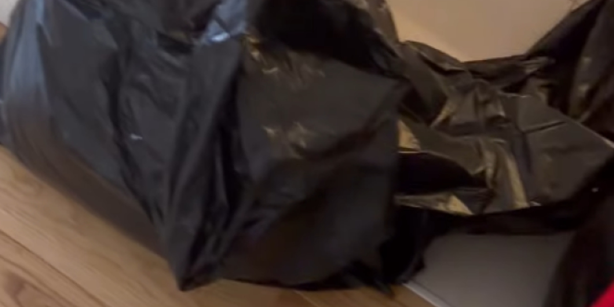 Objava Kristine Spalević