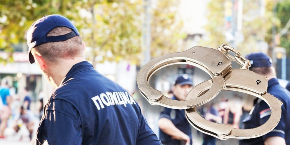 Rastureni štekovi u dva grada: Velika akcija policije u Sremskoj Mitrovici (FOTO)