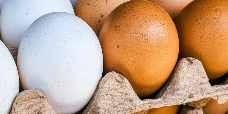 Koja je razlika između smeđih i belih jaja? Ovo je prava istina - evo koja su zdravija