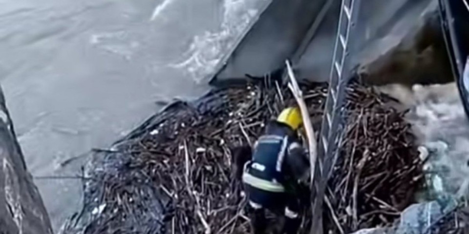 Drama na plaži kraj Đetinje: Našli su se u pravom času da pomognu