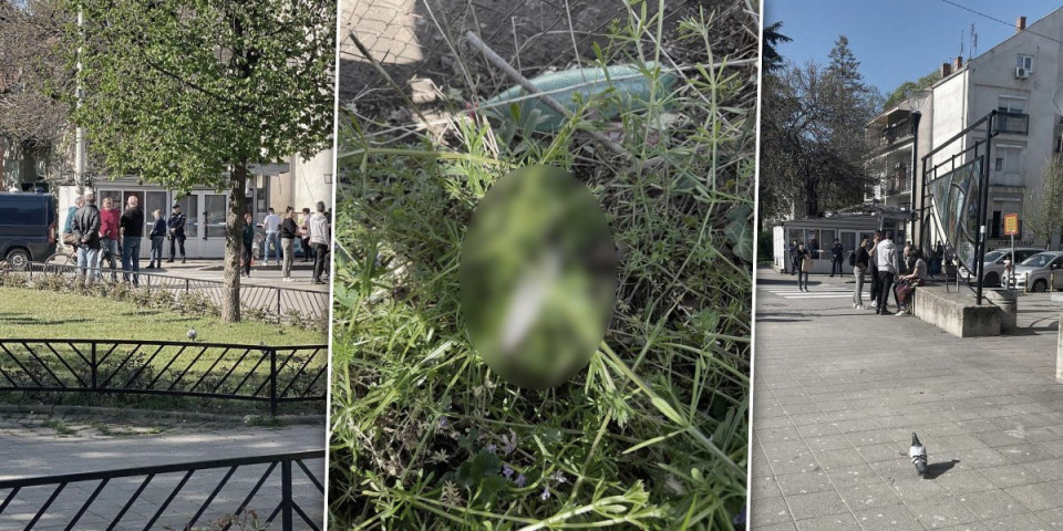 Ovo je oružje kojim je ubijena žena u Obrenovcu: Maloletnik je iskasapio, povredio i rođenog dedu ispred porodičnog lokala (FOTO)