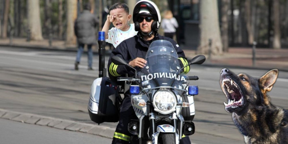 Pas krvnički povredio dete kod Kragujevca: Policajac na motoru ga hitno prevezao u bolnicu