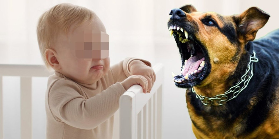 Tragedija u Engleskoj: Pas nasmrt izujedao bebu od tri meseca