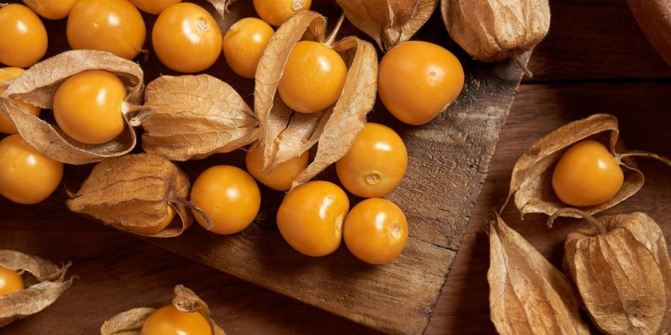 Zlatne jagode, "zlatna koka" za poljoprivrednike: Ovo voće sve popularnije, a cena je paprena