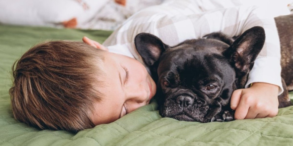 Veterinar upozorava na kraj života ljubimca: Tihi znak koji mnogi vlasnici propuštaju