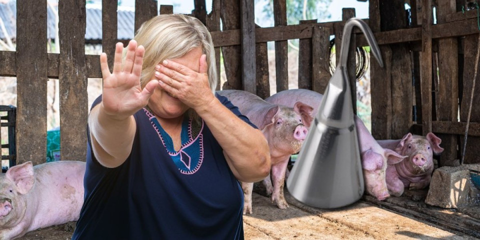 Jeziv zločin kod Barajeva: Zet silovao taštu zvonom za šurenje svinja