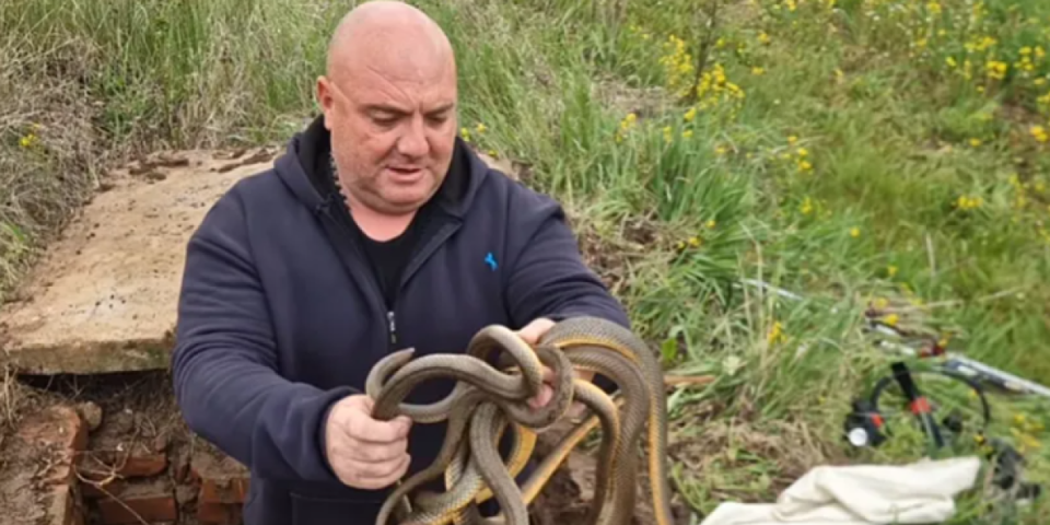 Splet zmijurina golim rukama izvukao iz šahte: Kad on dođe, tu je kraj (VIDEO)