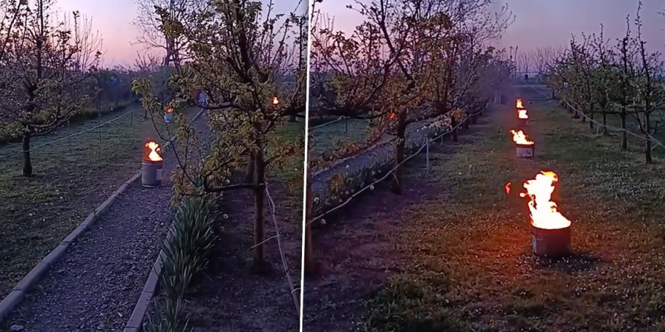 Ako ovo vidite, ne zovite vatrogasce: U zapadnoj Bačkoj sve češći prizori (VIDEO)