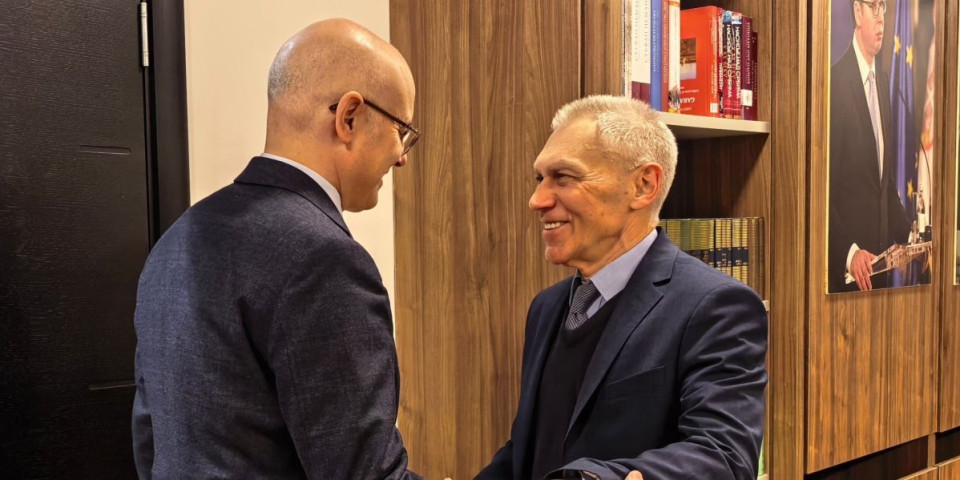 Vučević se sastao sa Bocan-Harčenkom u SNS: Otvoren i prijateljski razgovor o složenim međunarodnim prilikama, kao i bezbednosnim i ekonomskim izazovima