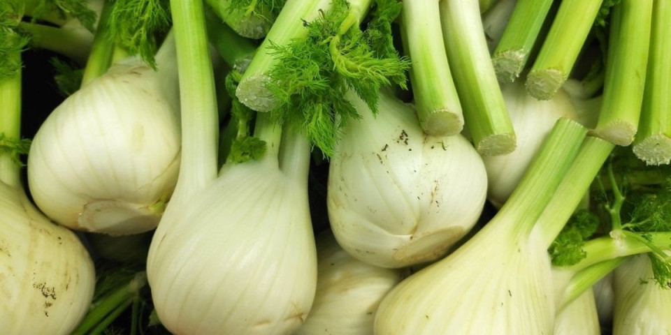 Čudo iz prirode: Biljka koja topi masnoće, stabilizuje šećer i čisti organizam