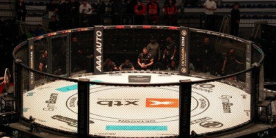 Haos oko bivšeg MMA borca: Legendarni teškaš završio iza rešetaka