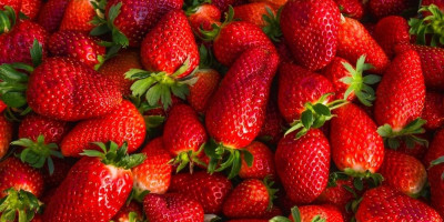 Jagode su među najpopularnijim voćem u proleće, ali mnogi ne znaju da obično ispiranje pod mlazom vode nije dovoljno da ih temeljno očisti.