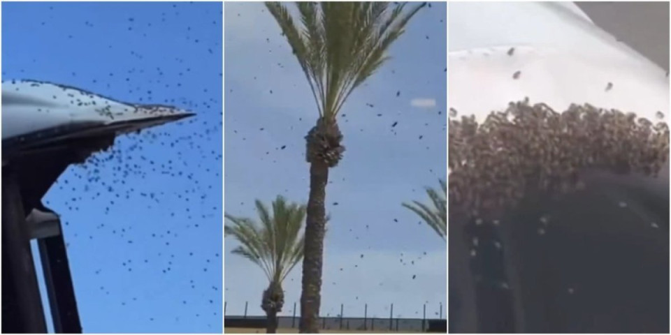 Rojevi pčela napadaju vojne avione u Izraelu?! Šokantni snimci: Šta se ovo dešava?! (VIDEO)