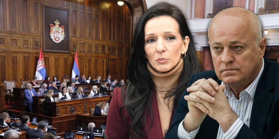 Novi haos među blokaderima! Marinika Tepić udarila na tužioca Mladena Nenadića - Pljušte optužbe