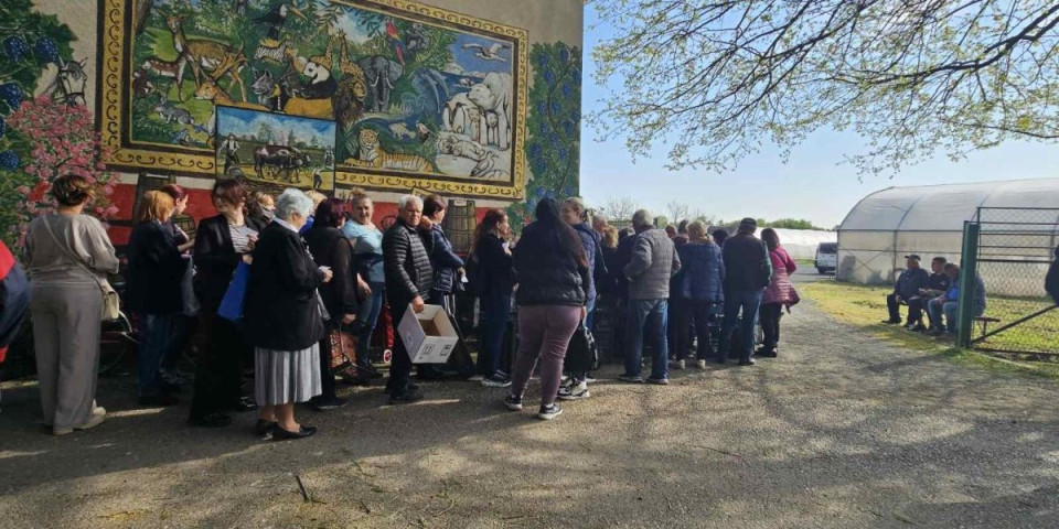 Red čekaju od rane zore: Pogledajte zašto cela Mačva juri u šabačku školu (FOTO)