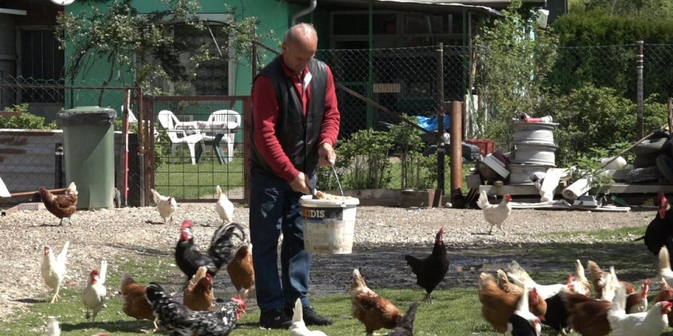 Da li ste čuli za "lamborgini koke"? Kad vidite koliko koštaju, biće vam jasno što ih tako zovu (VIDEO)