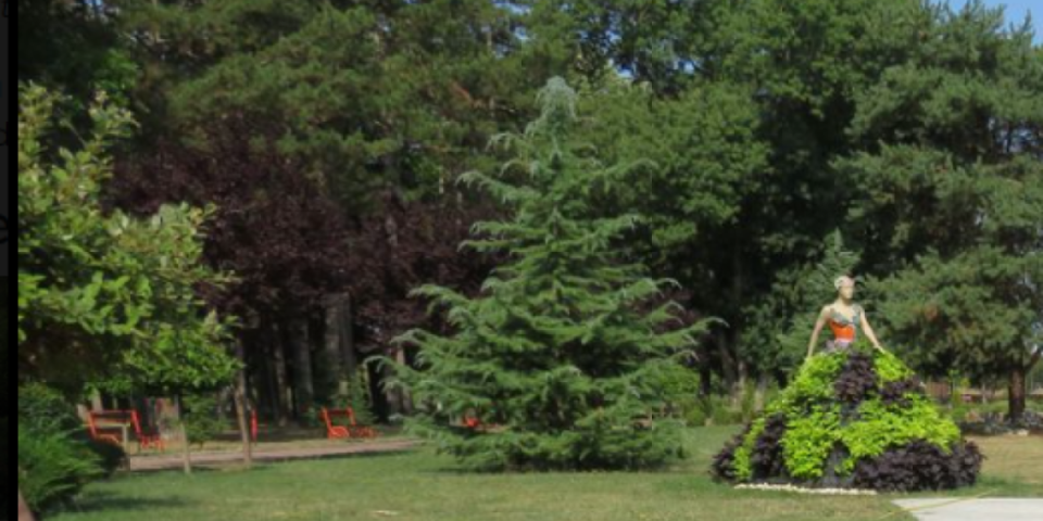 Tri dana boje i mirisa: Ovaj vikend u Kragujevcu je poseban