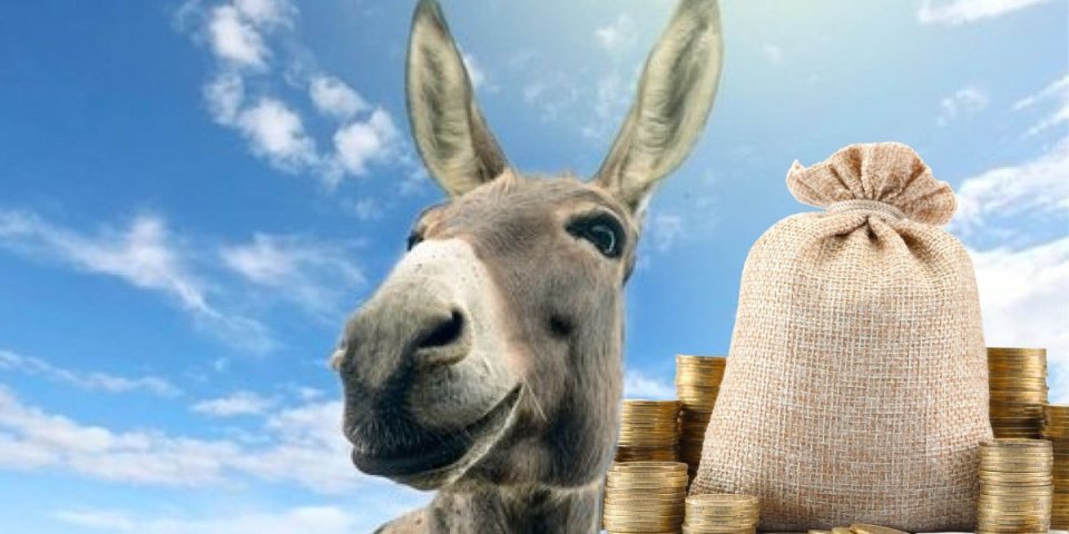 Kupili magarcu srećku, a ono - dobitak: Evo šta je posle bilo