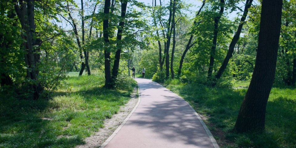 Trim staza na Košutnjaku dobija novi izgled i još bolje uslove za vežbanje