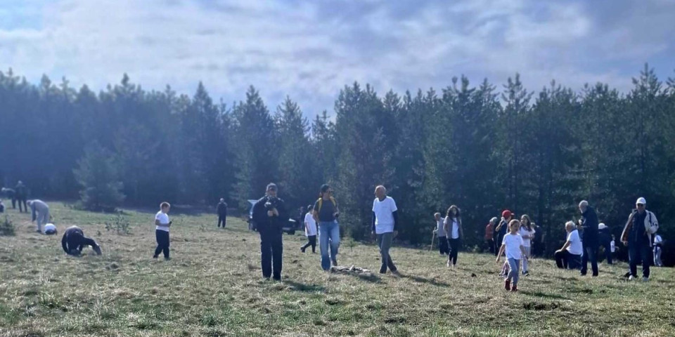 Radna akcija škola života! Volonteri na dva hektara, pušumili Šljivovicu, evo šta su posadili
