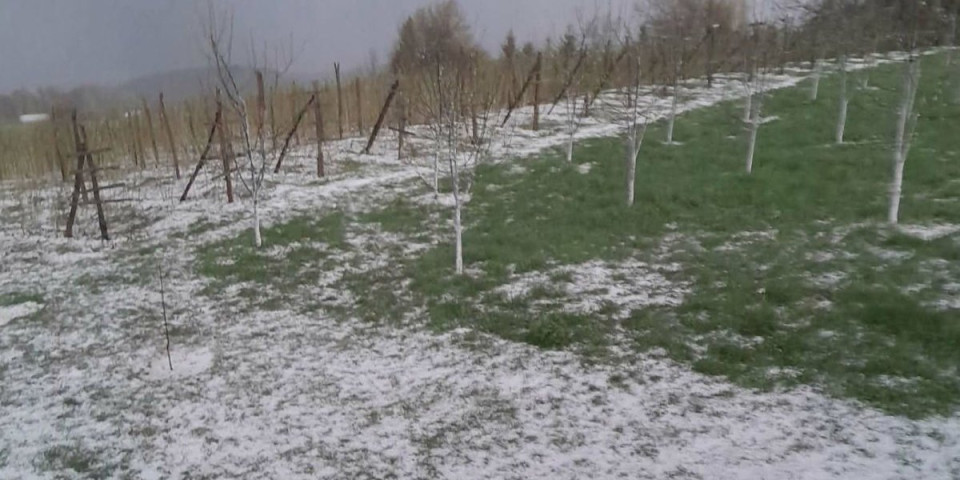 Zabeleli se malinjaci u prijepoljskom kraju! Meštani ne pamte ovakvu oluju: Sneg ili šta je ovo?