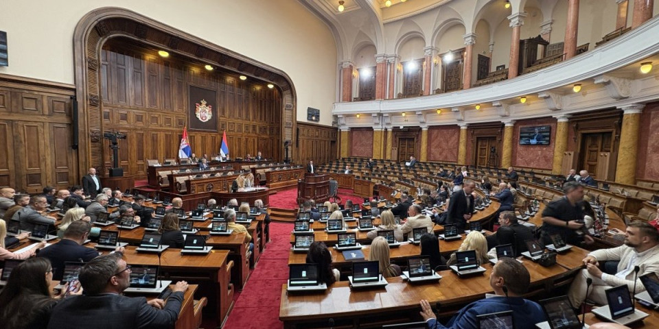 Marković u Skupštini podržao antiblokadni mehanizam, ali upozorio na jednu stvar