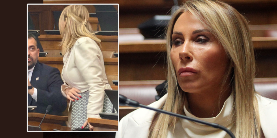 Kupila od plate: Tajkunski život poslanice poznate po šok izjavi: 5.000 evra za tašnicu?!