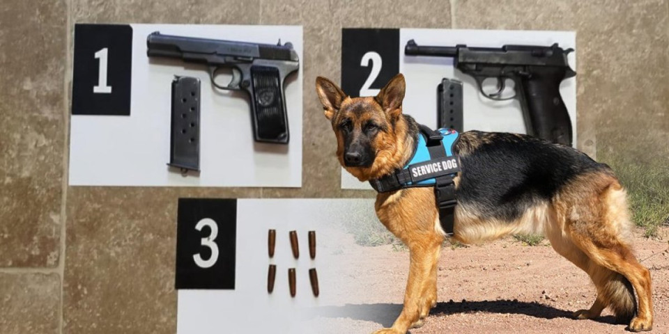 Službeni pas nanjušio oružje: Nastavljena velika akcija policije, neverovatno šta je nađeno (FOTO)