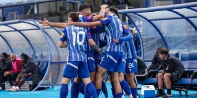 Drama u Hrvatskoj: Posle sudara s jelenom čelnici kluba u bolnici