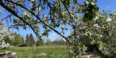 Neobična pojava na nebu iznad Šumadije: Evo kako to tumače