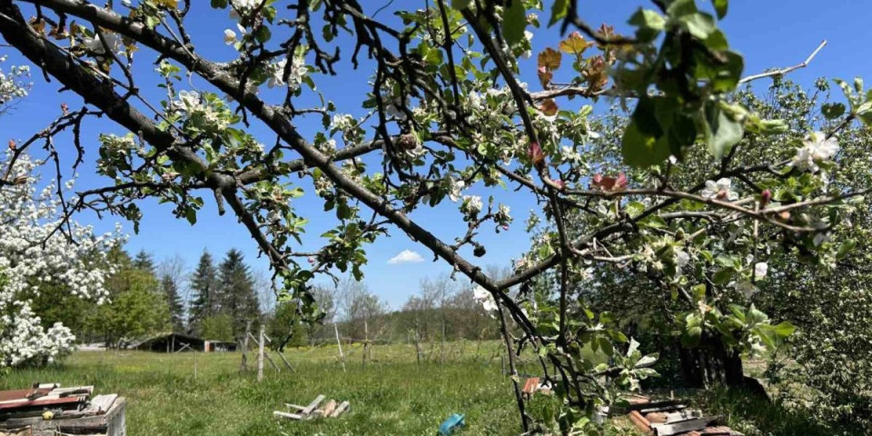 Neobična pojava na nebu iznad Šumadije: Evo kako to tumače
