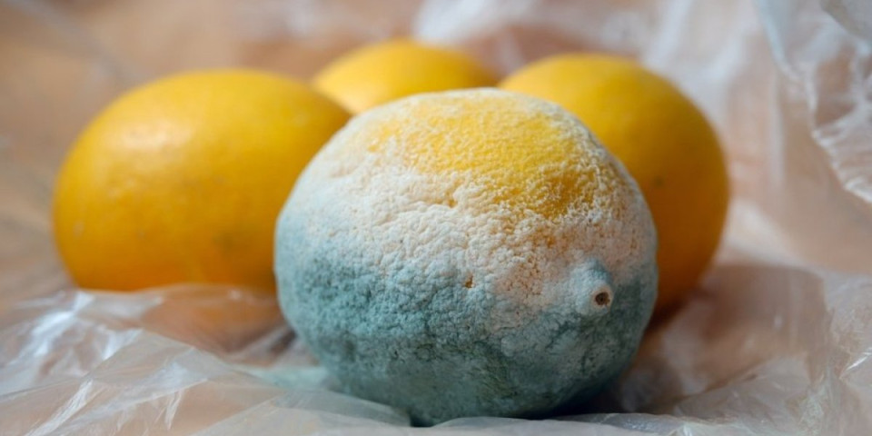 Pomoranda i limun neće buđati: Trik koji čuva ukus i svežinu citrusa nedeljama