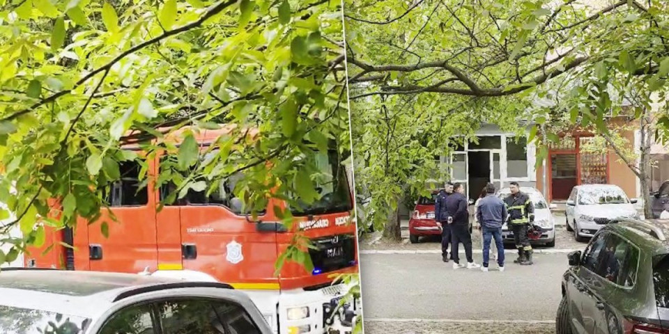 Drama na Bežanijskoj kosi: Ulica puna vatrogasaca, dim kulja iz ulaza zgrade (FOTO/VIDEO)