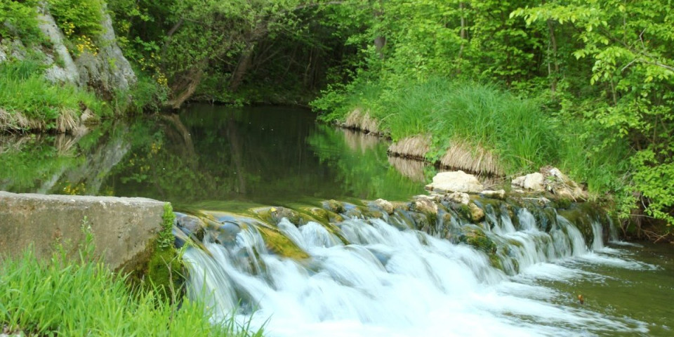 Džabe, a leči sve: Srpska banja od 2.000 dinara gde „nepokretni prohodaju“ - Totalni hit