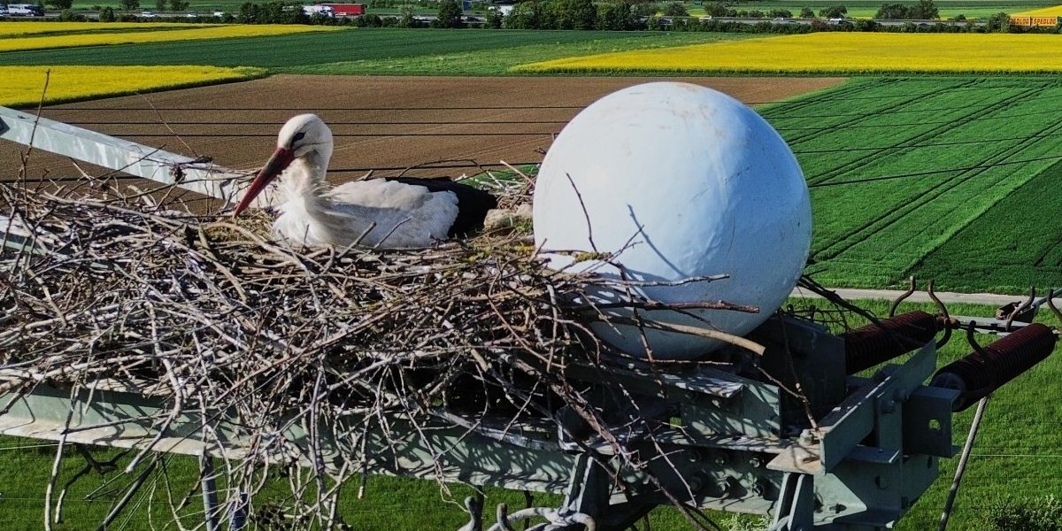Nemačka Vratile se rode