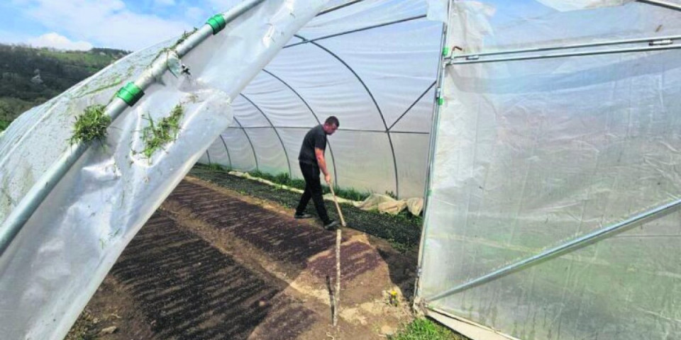Nakon školovanja u Beogradu, Ljubisav se posvetio poljoprivredi: Vratio se u rodno selo, pa pokrenuo svoj biznis (FOTO)