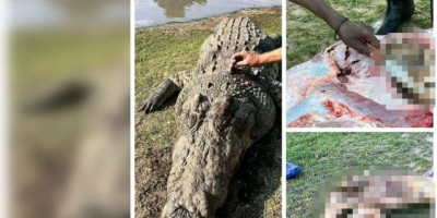 (UZNEMIRUJUĆE) Krokodil pojeo biznismena! Delovi tela pronađeni u utrobi životinje, policiju zgrozio monstruozan prizor