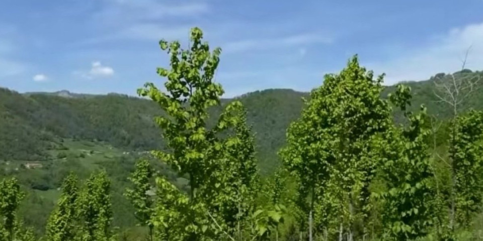 Hitno upozorenje za ovu beogradsku opštinu: Opasne zveri ulaze u dvorišta (FOTO)