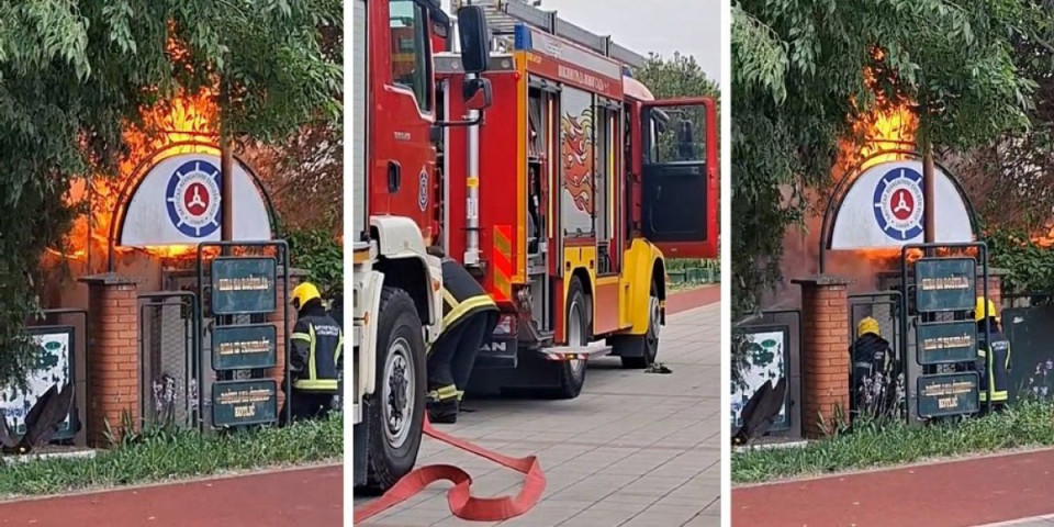 Veliki požar u Novom Sadu: Plamen zahvatio Nautički klub, vatrogasci na terenu od ranog jutra (VIDEO)