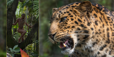 (FOTO) Auh, životinjski seksipil prezgodne košarkašice - Izvajano telo u leopard bikiniju izmamilo uzdahe