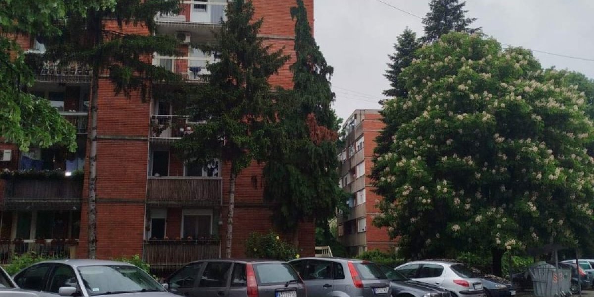 Ubistvo u Kruševcu