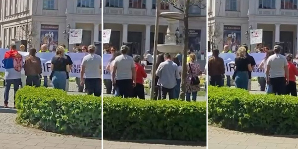 Gde su ti silni studenti?! Hvalili se podrškom dijaspore, a dočekala ih šaka jada (VIDEO)