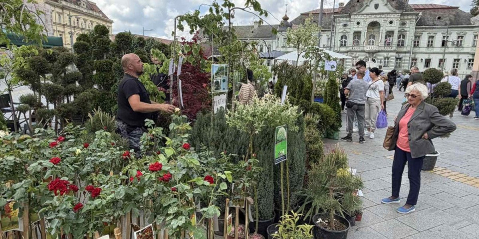 Govor cveća i tihi šapat zelenila! Tradicionalna izložba ulepšala centralni trg Zrenjanina