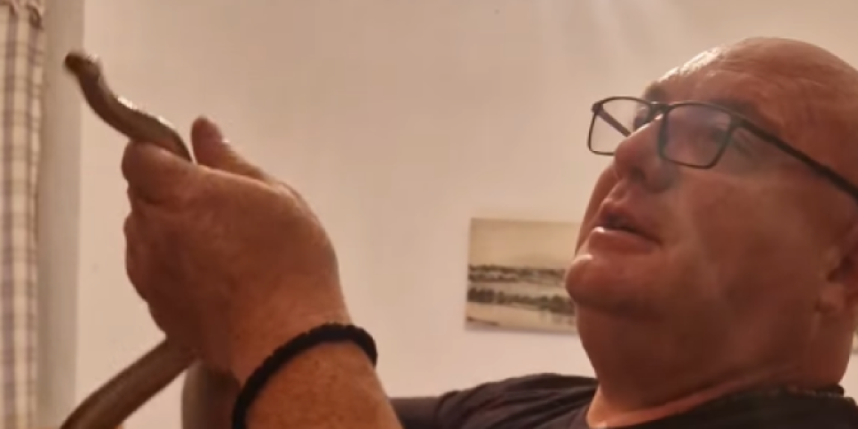 Zmijolovac kod Niša pronašao posebnog smuka: Kada je ušao u kuću, zatekao još gori užas (VIDEO)